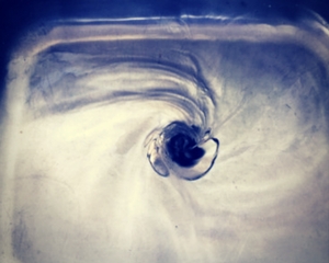 Plumber Central Coast - Blocked Drains